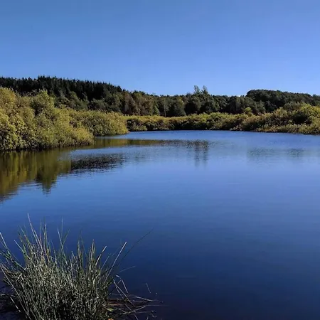 6 Person In Logstor-by Traum 펜션