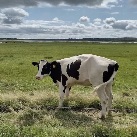 6 Person In Logstor-by Traum 로그스토